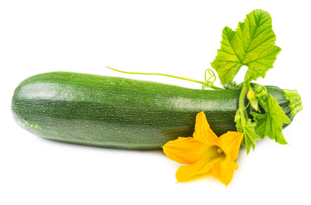 courgette avec fleurs isolées - zucchini photos et images de collection