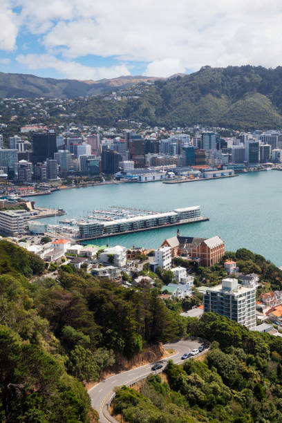 vista da cidade de wellington, nova zelândia - cook strait imagens e fotografias de stock