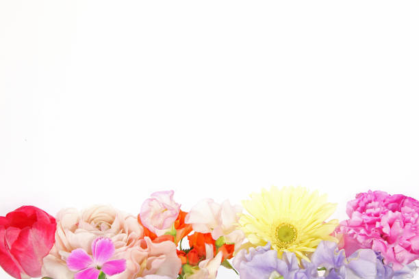 istock various kind of flowers 641792606