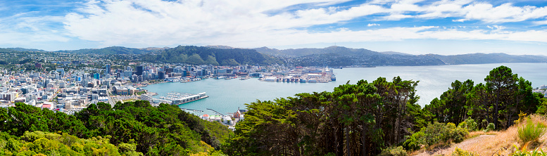 High angle panoramic cityscape shot of Wellington the capital city of New Zealand. Multiple files stitched.