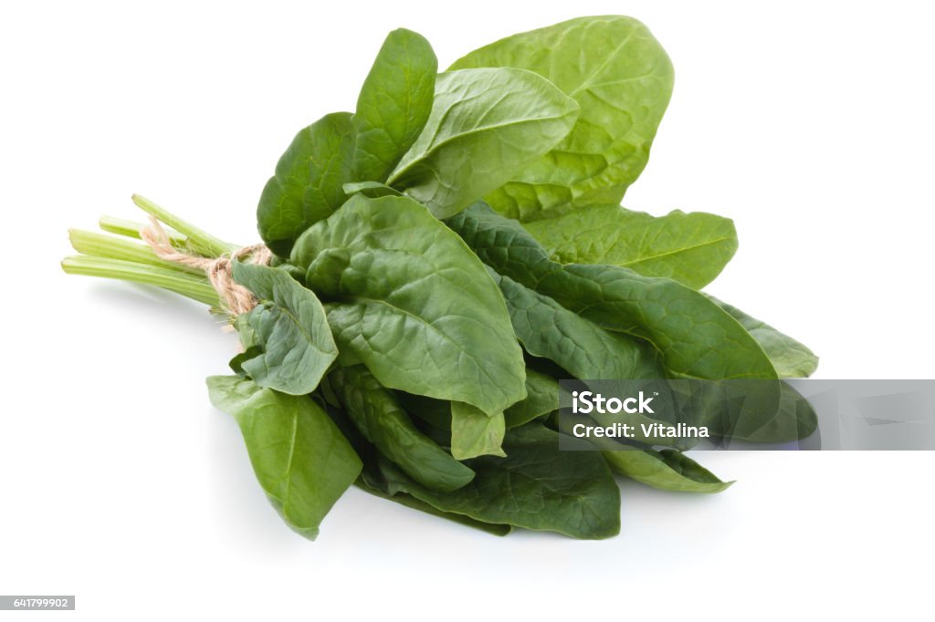 Fresh spinach leaves. Banch of fresh spinach leaves. Isolated on white background. Spinach Stock Photo