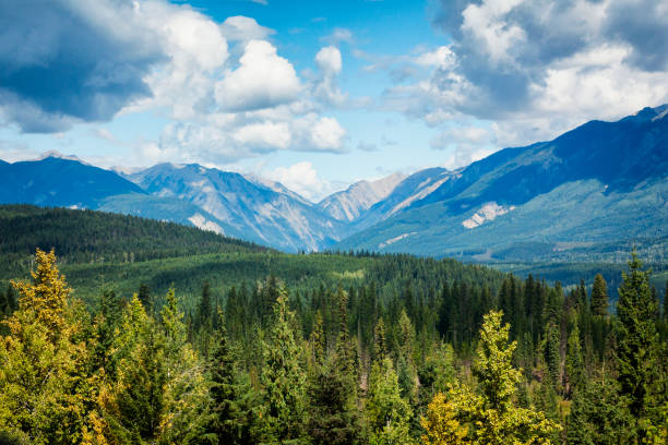 paisagem da colúmbia britânica, canadá - montanhas rochosas canadianas - fotografias e filmes do acervo