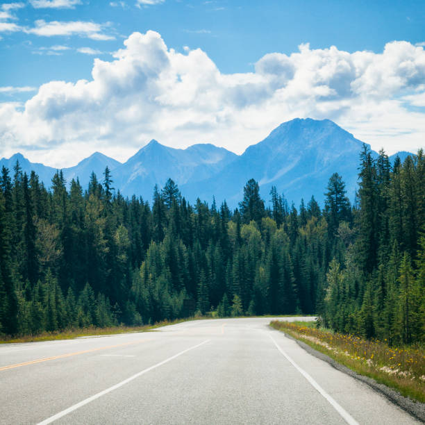 istock Landscape of British Columbia, Canada 641802454