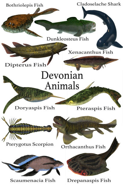 ilustraciones, imágenes clip art, dibujos animados e iconos de stock de animales devonian - filter feeder