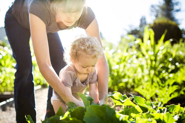 istock Mother and Daughter in Garden 641805604