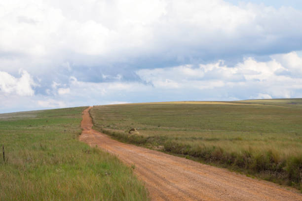 istock Dirt road crossing a pasture 641807308