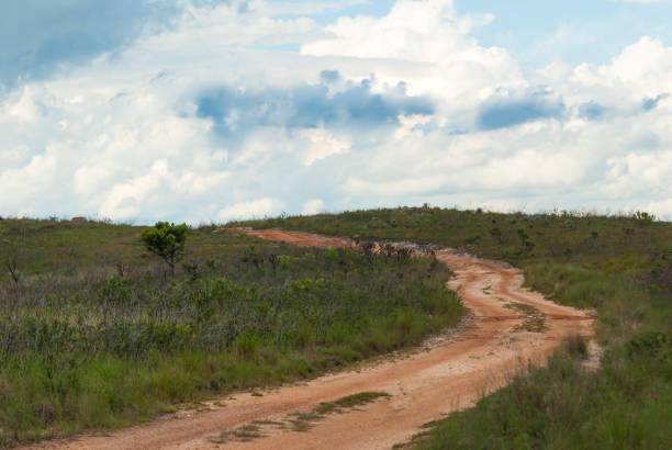istock Dirt road crossing a pasture 641807316