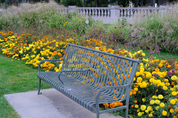 istock Chair in garden 641809970