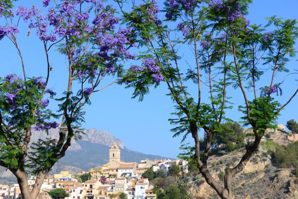 istock Polop de la Marina - Costa Blanca - Spanien 641813912