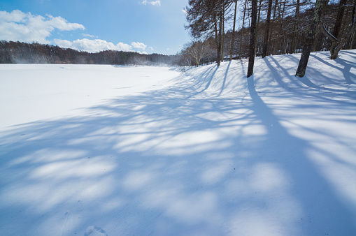 Snowy landscape in Nagano, Japan.