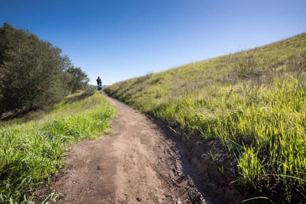istock Mother and daughter hiking through a meadow 641817736