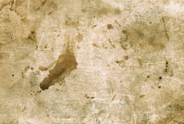 istock Weathered grungy paper book cover. 641818122