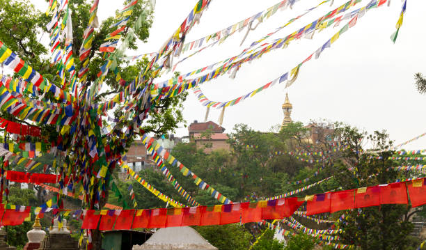 istock Swayambhunath Stupa,Kathmandu 641824434