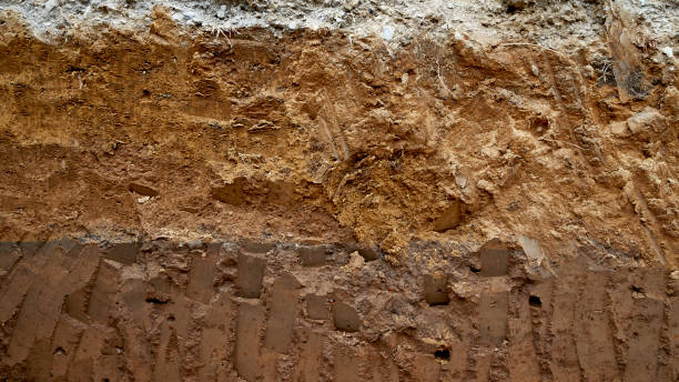 istock layers of soil and rock. 641825110