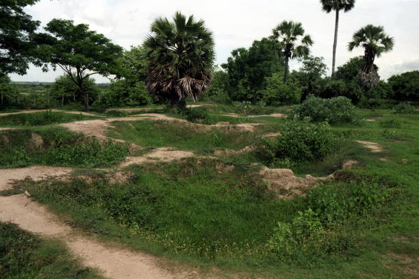 asien kambodscha khmer rouge killing fields - völkermord in kambodscha stock-fotos und bilder