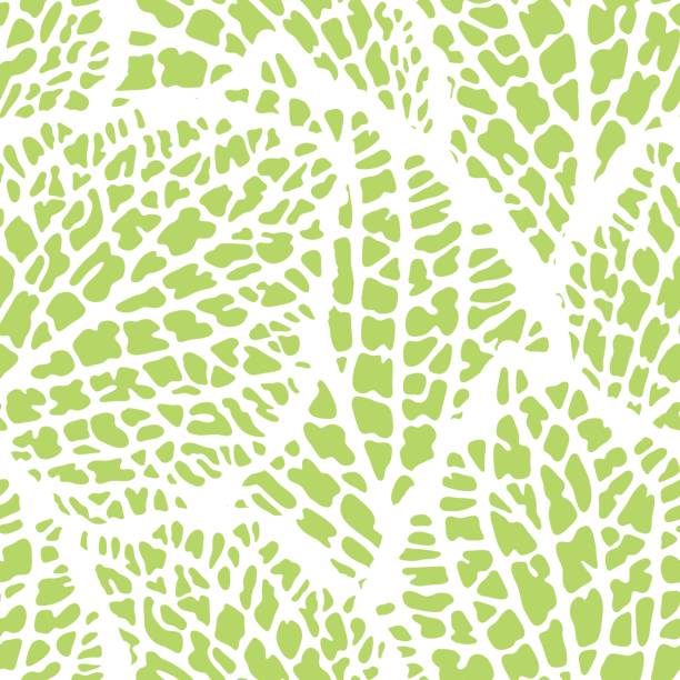 装飾的な葉とのシームレスなパターン。自然の詳細図 - pattern in nature点のイラスト素材／クリップアート素材／マンガ素材／アイコン素材
