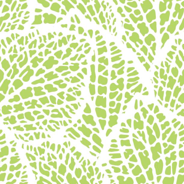 ilustrações de stock, clip art, desenhos animados e ícones de seamless pattern with decorative leaves. natural detailed illustration - leaf vein