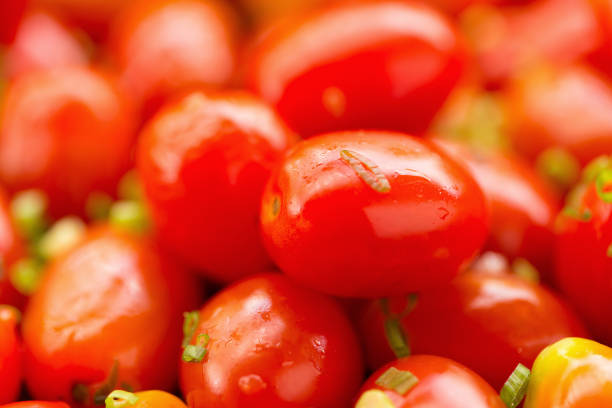 Stir fried sweet tomato cherry on pan.