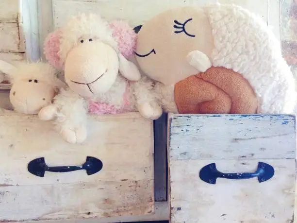 Photo of Lovely kiss sheep doll in the drawer