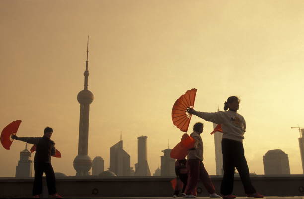 the skyline of Pudong in the City of Shanghai in china in east asia.