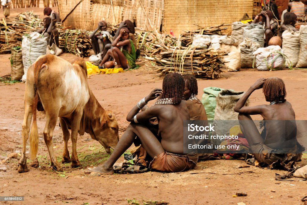 Woman from Hamer people resting DIMEKA, OMO VALLEY, ETHIOPIA - JULY 27: Portrait of the woman from Hamer people resting on the local marketplace in Dimeka, Omo valley in July 27, 2013 Addiction Stock Photo