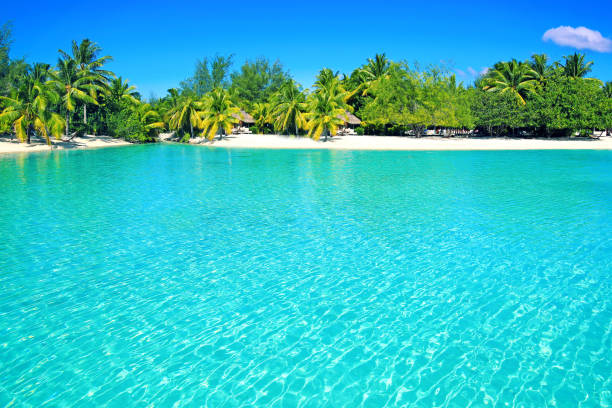 istock Bora Bora Tahiti Beach 641842416