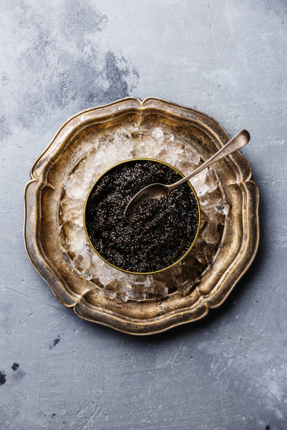 Black Sturgeon caviar on ice Black Sturgeon caviar in can on ice in metal plate on concrete background copy space caviar stock pictures, royalty-free photos & images