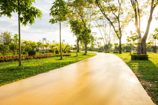 istock Jogging track for exercise at the green garden 641846086