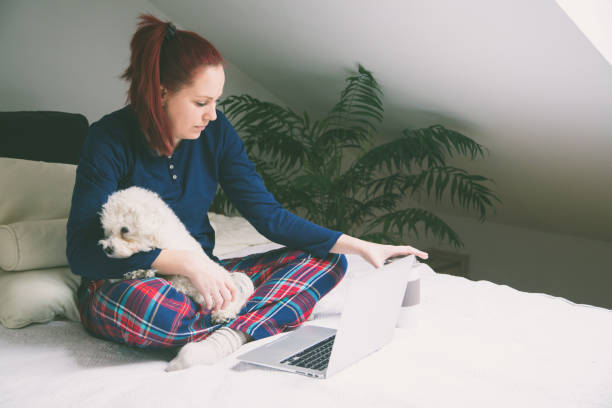 istock Woman using a laptop with her dog on bed 641846616