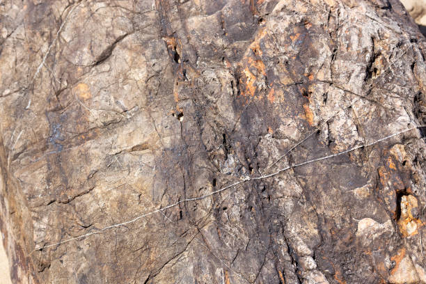 istock Veins in textured rock 641847060