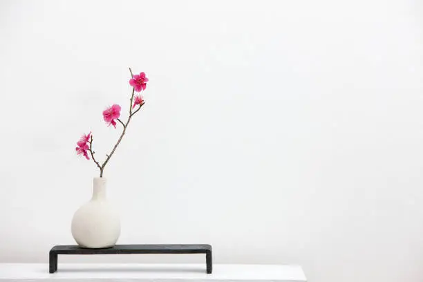 flower, plum, vase, spring, korea
