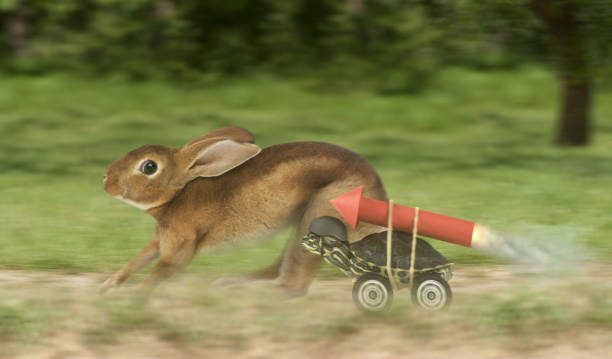 Turtle hare race with a difference Turtle hare race with turtle wearing a jet pack and wheels. Rabbit looking back towards the turtle, worried. tortoise stock pictures, royalty-free photos & images