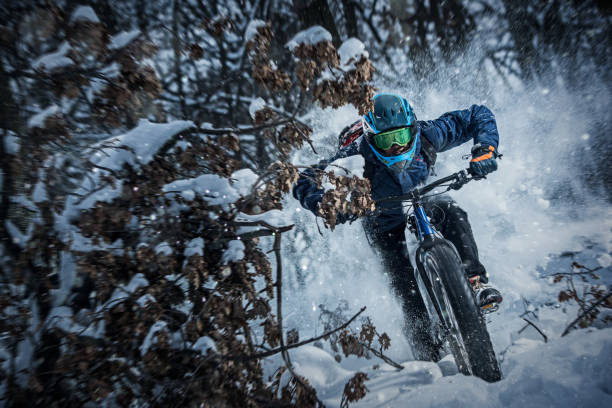 Man rides fat bike in the forest