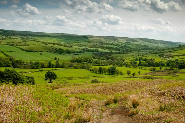 istock North York Moors National Park 641859018