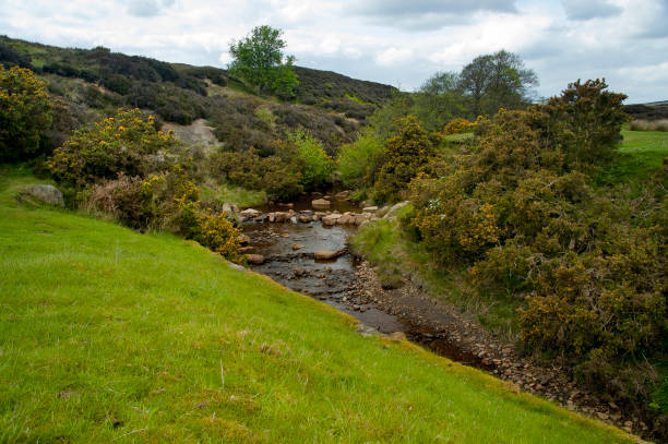 istock River in North York Moors National Park 641859074