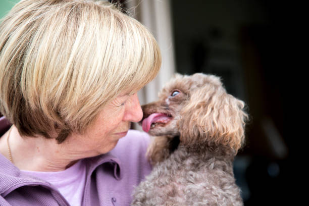 istock Senior woman with ageing dog 641860208