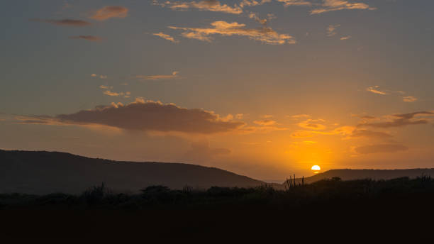 Carribean silhouette of cactus during sunset with a glowing sun in an orange sky. In the distance a bit of ocean can be seen between the mountains.