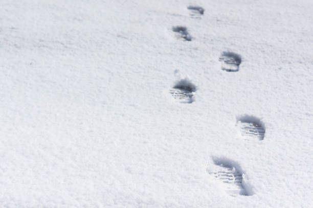 istock Foot prints in the Snow 641868566