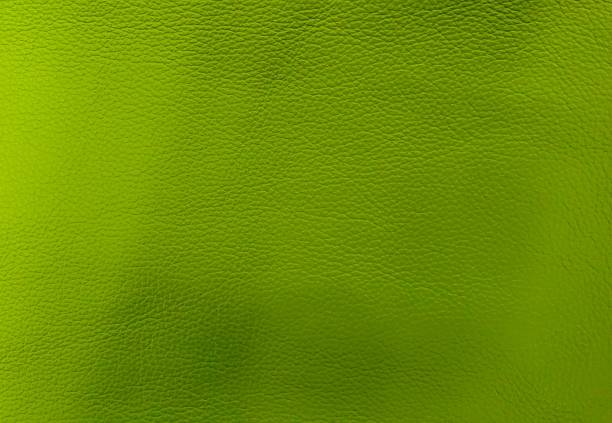 istock Close Up Background of Green Leather Texture 641869264