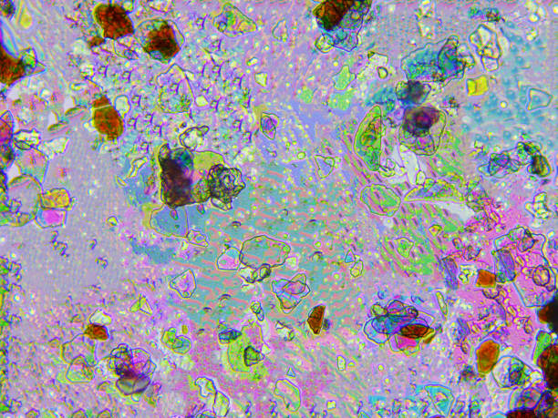 Microscopic view of face powder, x400 magnification