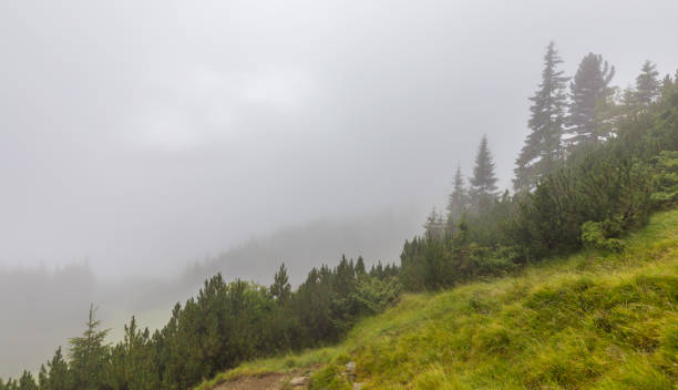istock Mountain scenery in the Transylvanian Alps in autumn, with mist clouds 641883726