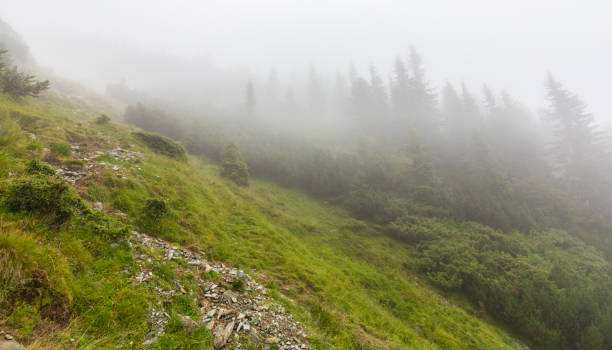istock Mountain scenery in the Transylvanian Alps in autumn, with mist clouds 641883728