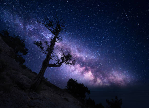 istock Tree on the mountain against Milky Way. Night landscape 641887722