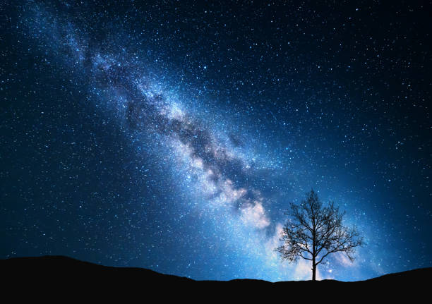 istock Milky Way and tree on the field 641887918