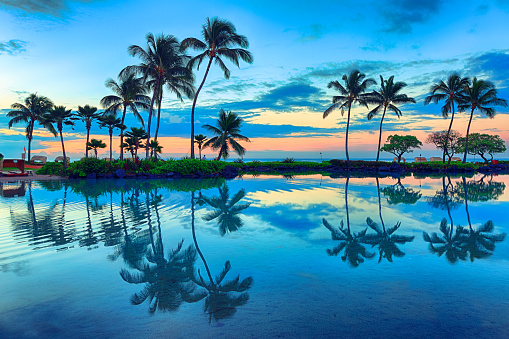 Sunrise behind palm trees in Kauai, Hawaii