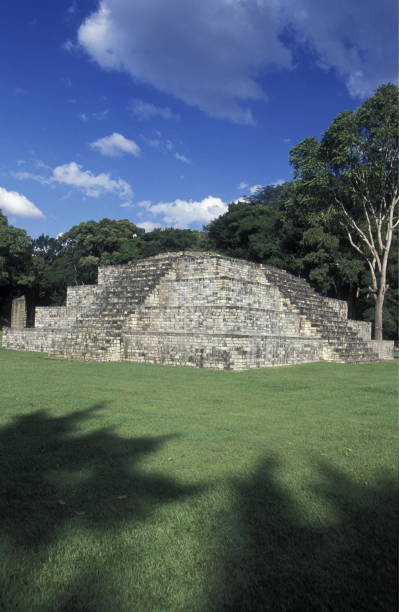 Macaw parrots seen passing the Structure # 4 at the Great Plaza of Copan archaeological site of Maya civilization in Honduras