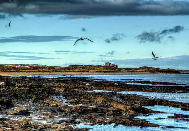 성 굴절률은 쇼어 - bamburgh england castle fort 뉴스 사진 이미지