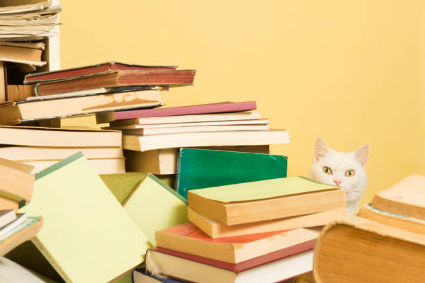 istock White cat peeking behind a pile of books. Selective focus. 641892948