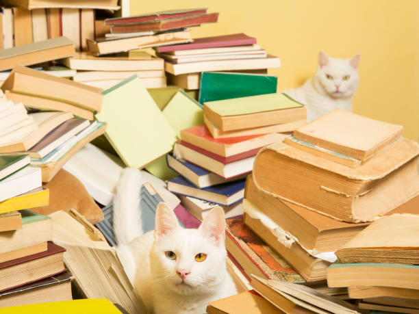 istock White cats and a pile of books. Selective focus. 641892998