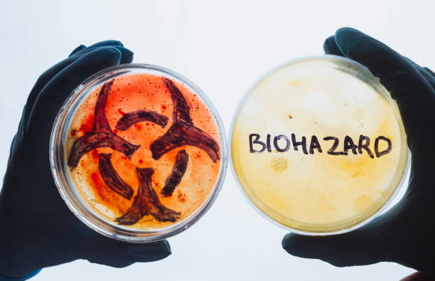 pratos de petri com palavra e símbolo de risco biológico - bacterium staphylococcus colony epidemic - fotografias e filmes do acervo